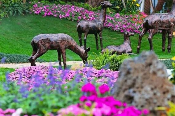 ���wɢ���� �� �̹��@��������һ�(xi��ng)Ŀ��ӆ